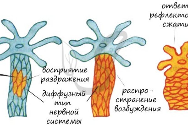 Ссылка на сайт omg